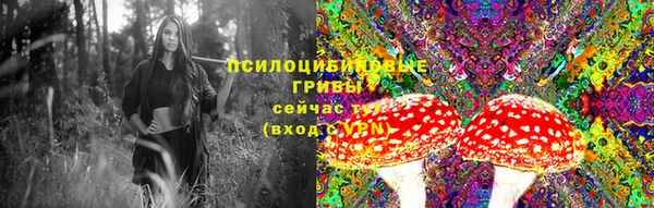 PSILOCYBIN Остров