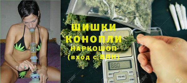 PSILOCYBIN Остров