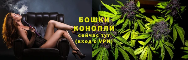 PSILOCYBIN Остров