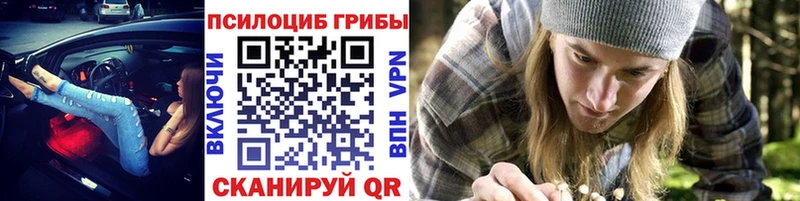 наркошоп  Андреаполь  Псилоцибиновые грибы Psilocybine cubensis 